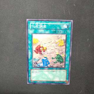 化石調査 ノーマル