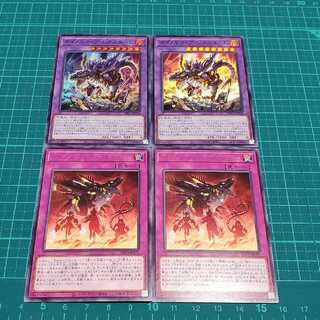 Dynorphia Frenzy, Lex Term.