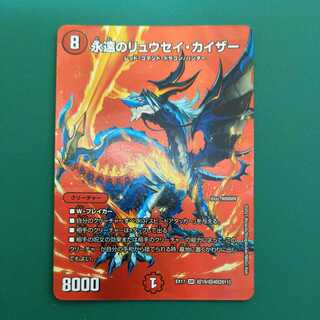 The Eternal Ryusei Kaiser