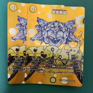 Rapid Reincarnation Set of Two