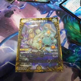 Absolute shield knight" (20th rare specification)