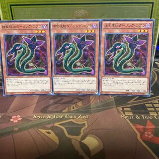 Predaplant Darlingtonia Cobra Normal 3 cards Yu-Gi-Oh!