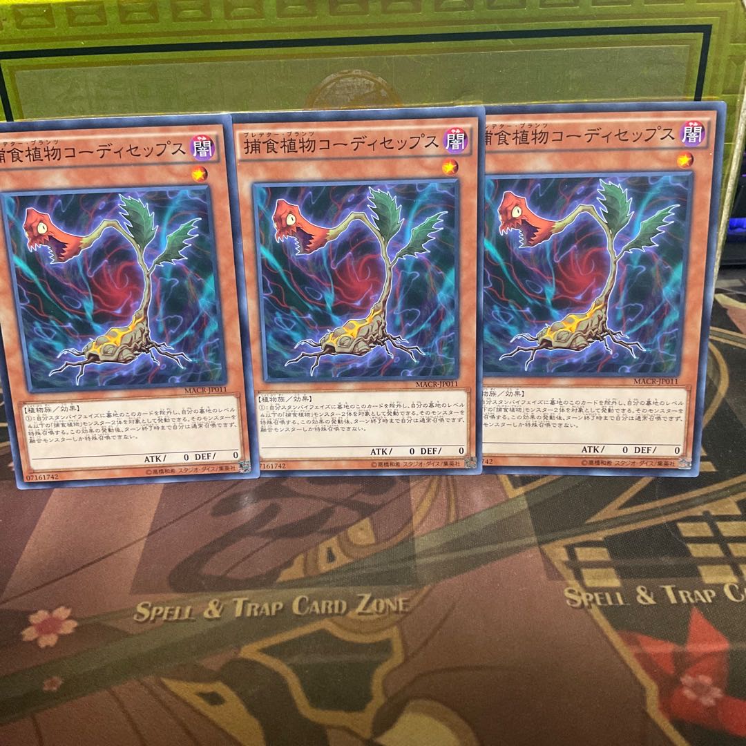 Predaplant Cordyceps Normal 3 cards Yu-Gi-Oh!