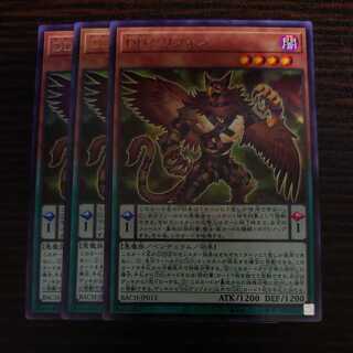 DD Griffon Rare, Set of 3