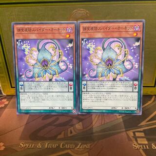 捕食植物スパイダー・オーキッド ノーマル 2枚