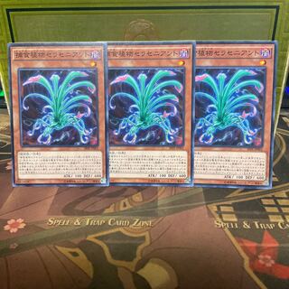 Predaplant Sarraceniant Normal 3 cards Yu-Gi-Oh!