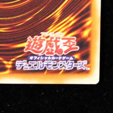 ハナコンダ様専用