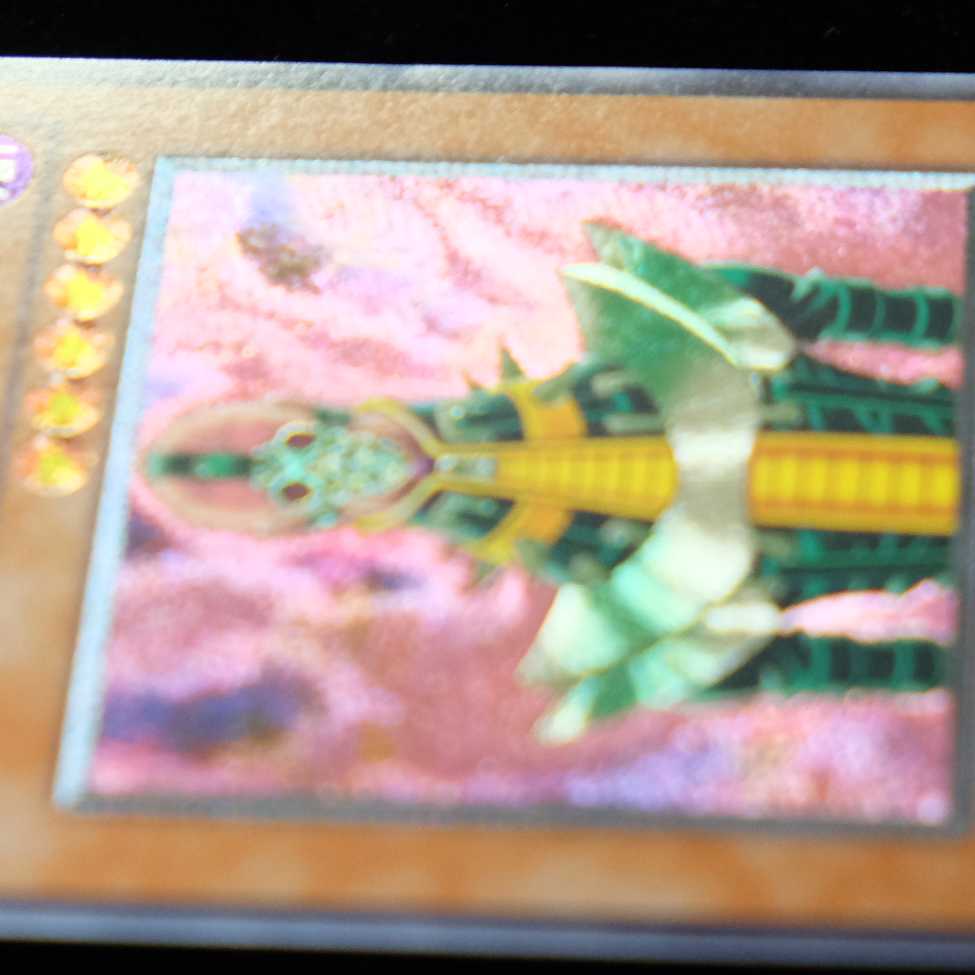 ハナコンダ様専用