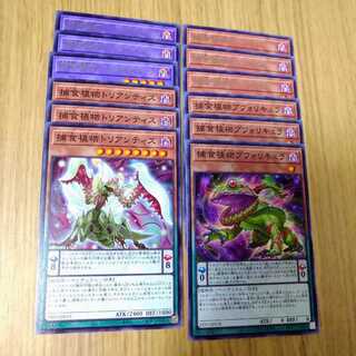 【専用】ディメンションフォース　捕食植物セット+EMセット