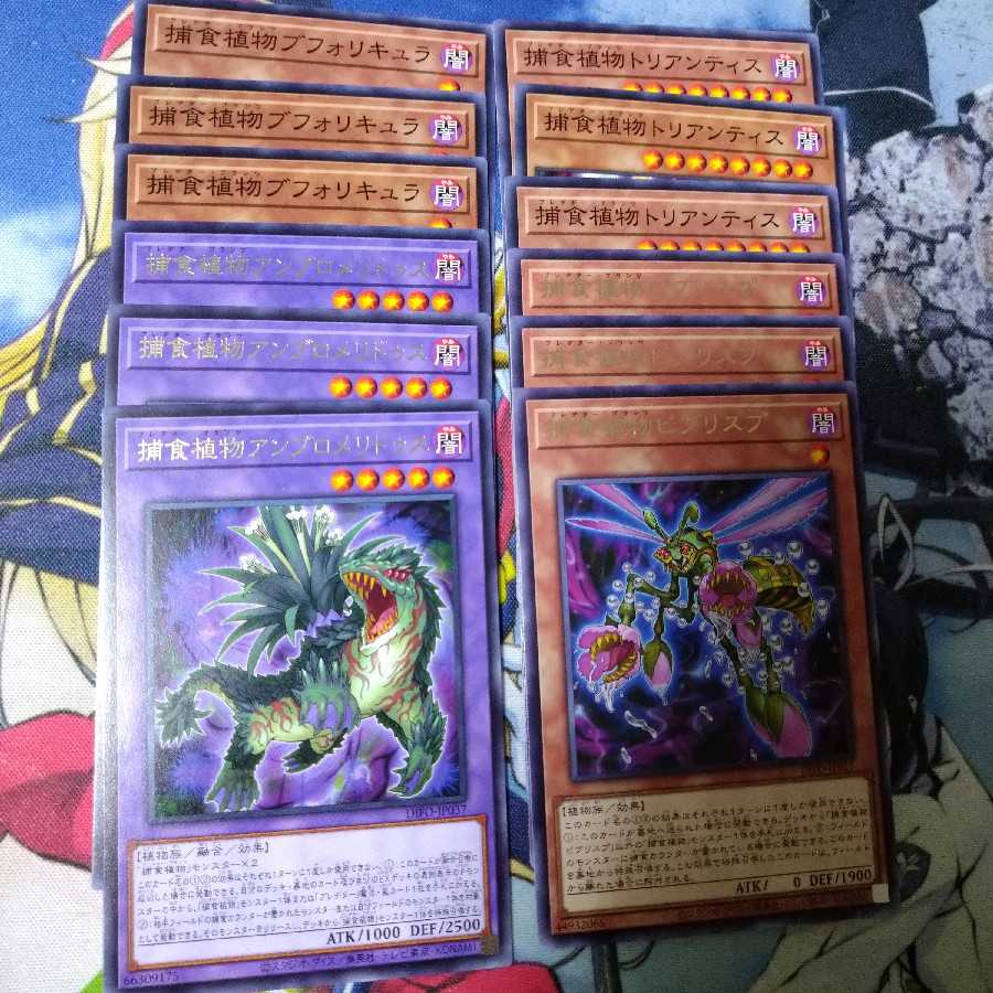 Dimension Riryoku Prey Upon Plant Set