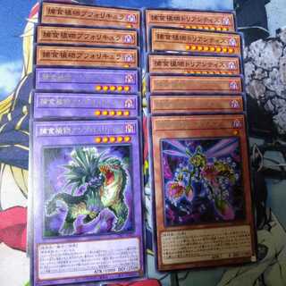 ディメンションフォース　捕食植物セット