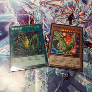 Predapractice Super Rare Predator Practice Complementary Activity