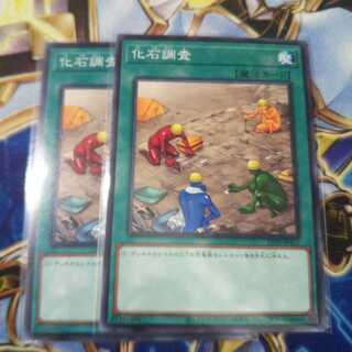 化石調査 ノーマル 2枚