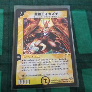 聖霊王イカズチ