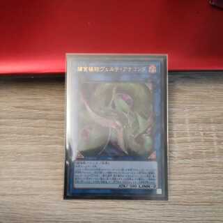 Predaplant Verte Anaconda