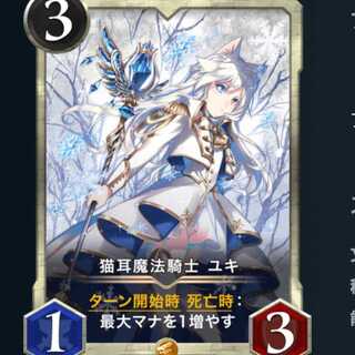 猫耳魔法騎士　ユキ