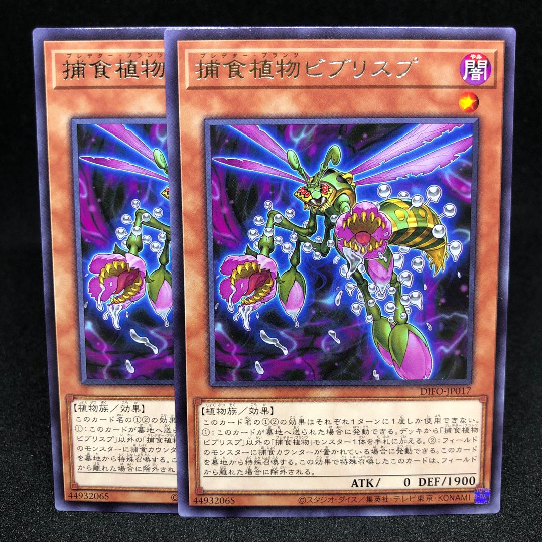 Prey Upon Plant Bib Squirrel Prey