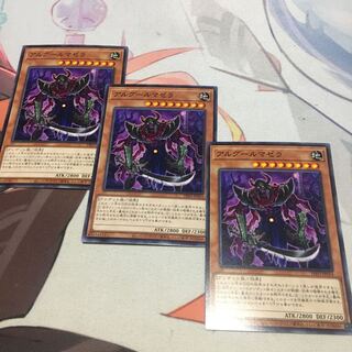 アルグールマゼラ ノーマル