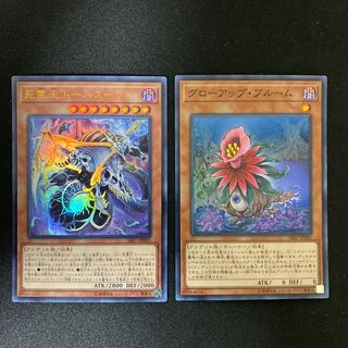 Doomking Balerdroch, Glow-Up Bloom