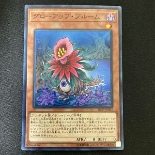 Glow-Up Bloom Super Rare