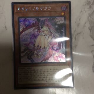 Red Blossoms from Underroot