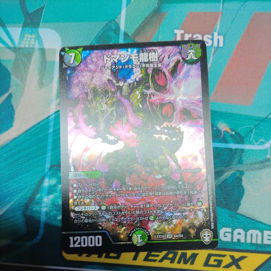 Domangmo Dragon Tree SR