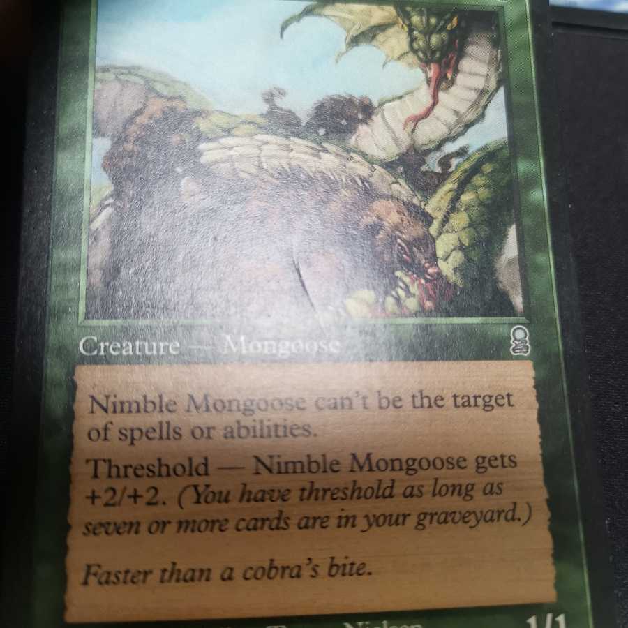 呪文嵌めなど12枚セット