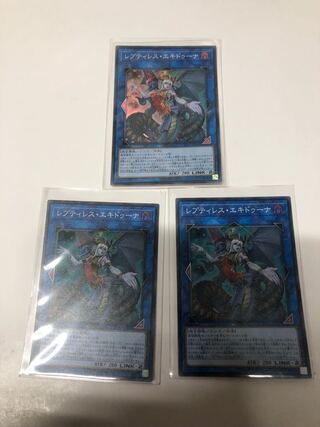 レプティレス・エキドゥーナ3枚セット