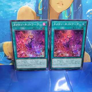 [Available for immediate purchase] Numeron Network2pcs 2枚