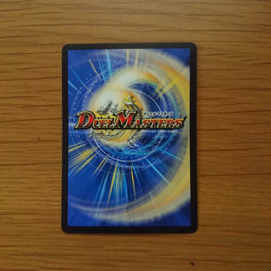 天命竜装ホーリーエンド/ナウ・オア・ネバー