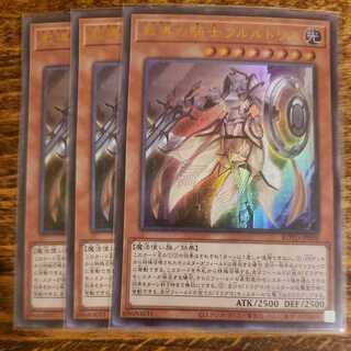 教導の騎士フルルドリス ウルトラレア