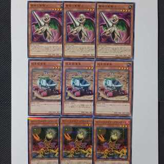 3 normal Rose Paladin