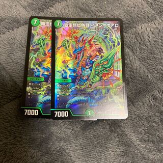 Heteroptera, Iridescens, Imen-Boaro.