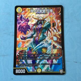 煌メク聖壁 灰瞳