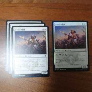 MTG/Ainok Bond-Kin/foil1 sheet/normal3 sheets/Tarkir Haotan/Japanese