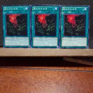【ぽぽたん】遊戯王 　7464　森のざわめき　3枚セット　ノーマル
