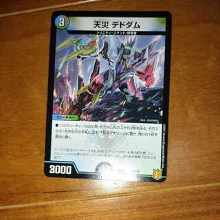 天災デドダム 専用