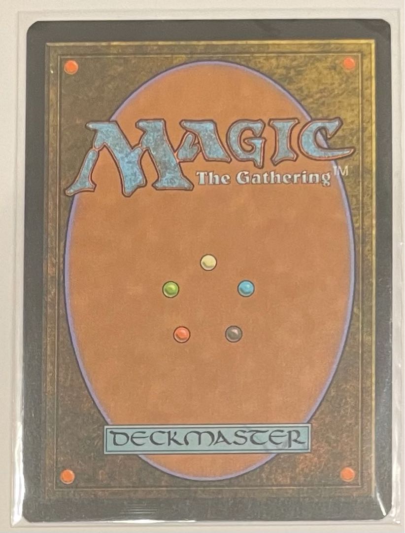 Misty Rainforest/Misty Rainforest MPS EXP