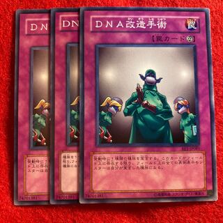 DNA改造手術☆5333