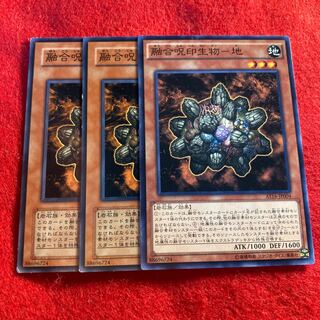 Polymerization Spell Seal Life Product - Earth☆5335