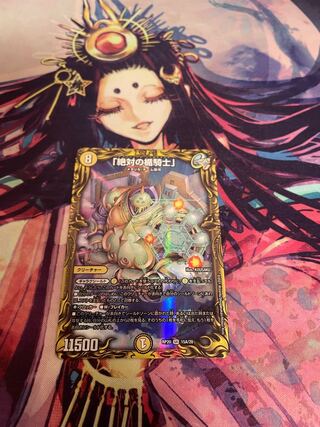 Absolute shield knight" (20th rare specification)