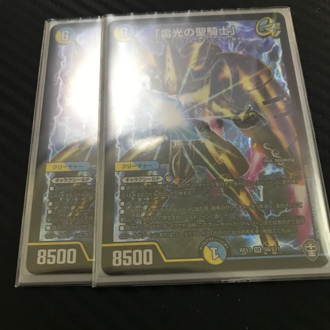 "Holy knight of lightning."