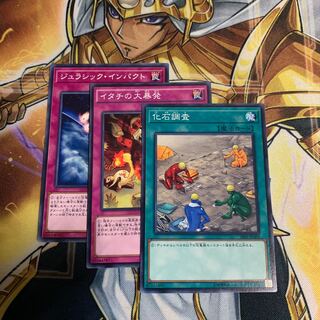 イタチの大暴発 ノーマル　化石調査