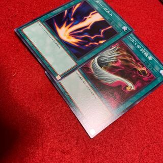 Harpie's Feather Duster