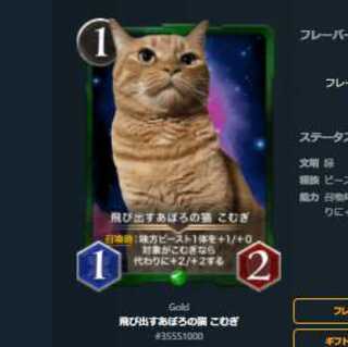 1000番 飛び出すあぽろの猫 こむぎ