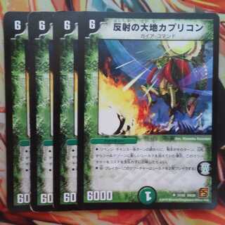 Earth of Reflection Capricorn Set of Four