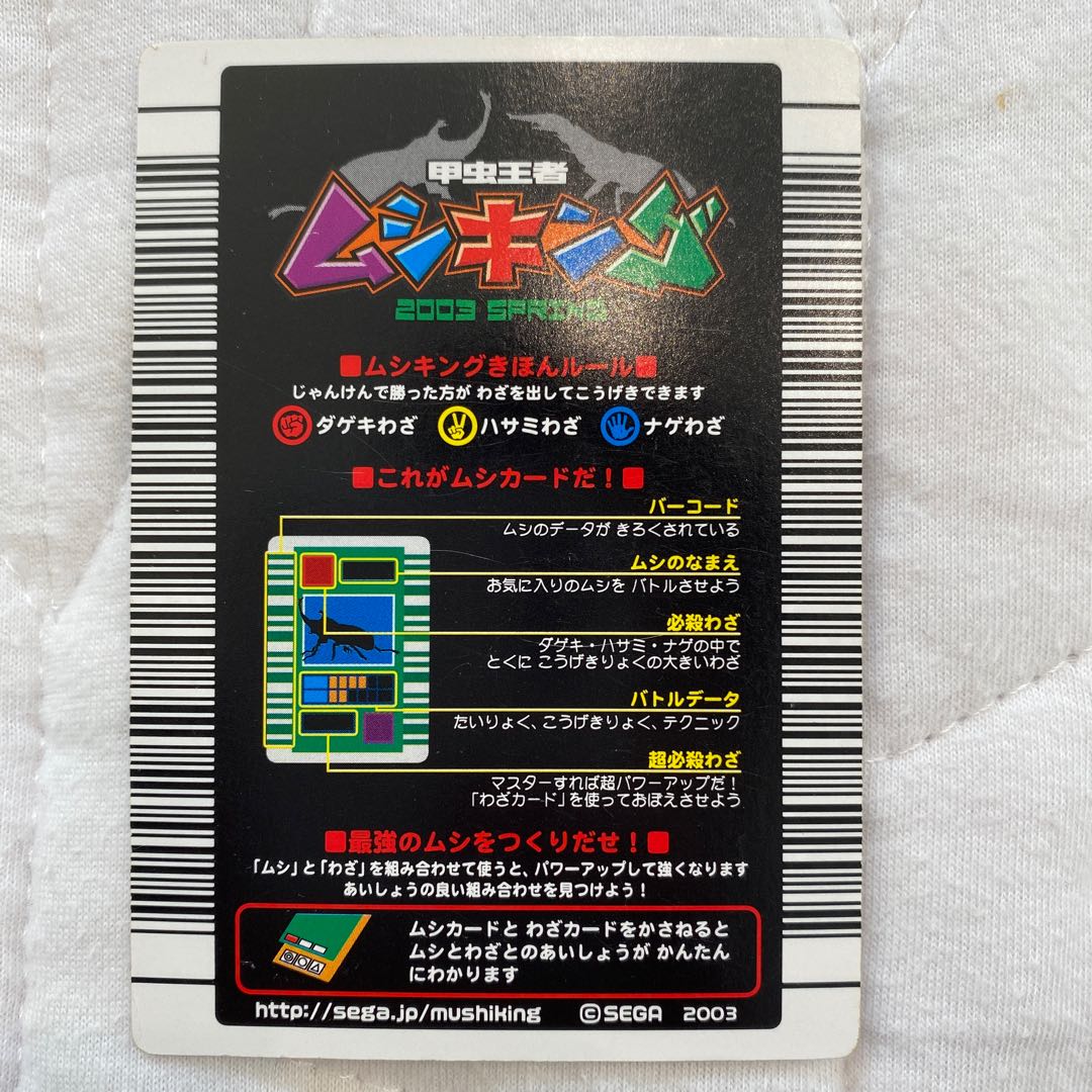 Insect King, Red-footed Stag Beetle