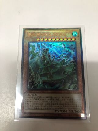 Ice Water Emperor Cosmochlore Ultimate Rare