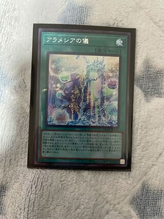 アラメシアの儀 シク