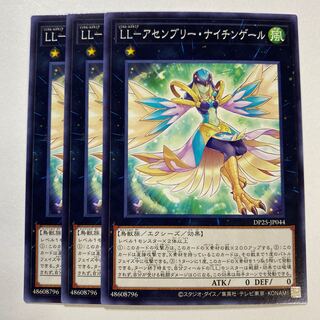 LL-Assembly Nightingale Normal